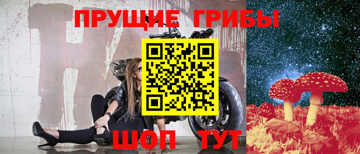 Псилоцибиновые грибы ЛСД  закладки  Нижний Тагил  Вход с VPN 